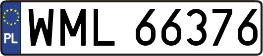 WML66376