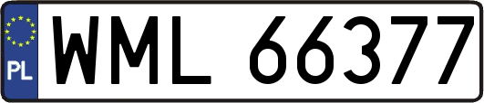 WML66377
