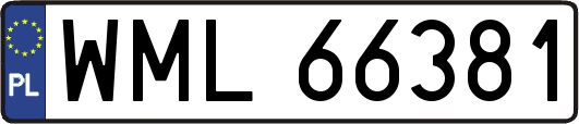 WML66381