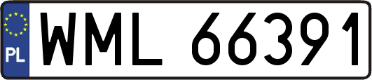 WML66391