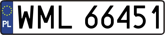 WML66451