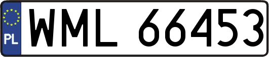WML66453