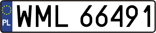 WML66491
