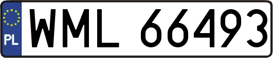 WML66493