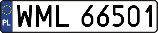 WML66501