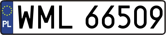 WML66509