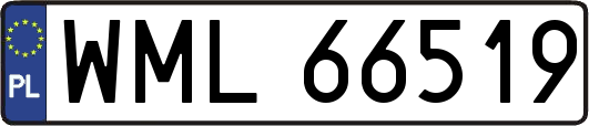 WML66519