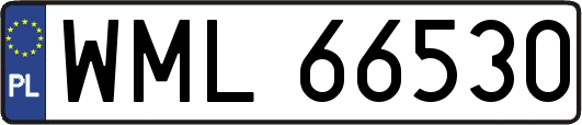 WML66530