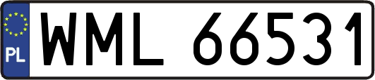 WML66531