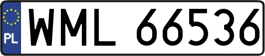 WML66536