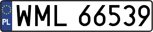 WML66539
