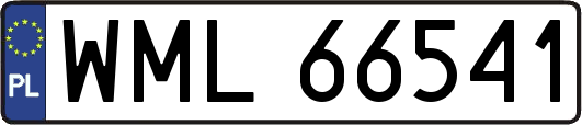 WML66541
