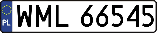 WML66545