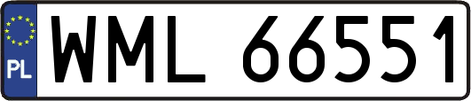 WML66551