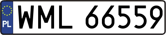 WML66559