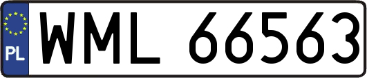 WML66563