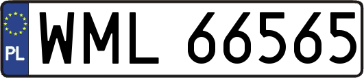 WML66565