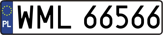 WML66566