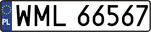 WML66567