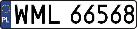 WML66568