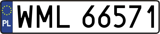 WML66571