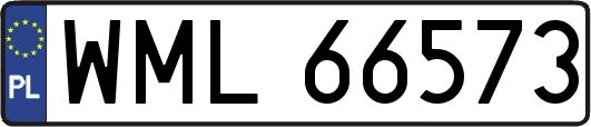 WML66573