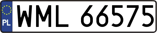 WML66575