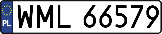 WML66579
