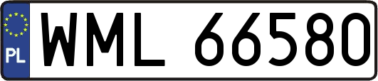 WML66580