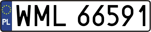 WML66591