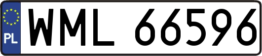 WML66596