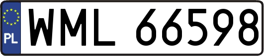 WML66598