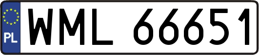 WML66651