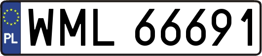 WML66691