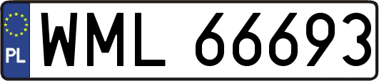 WML66693
