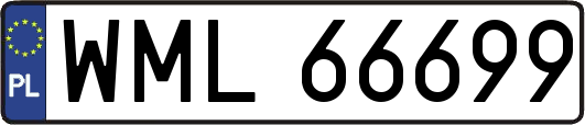 WML66699
