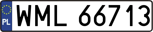 WML66713