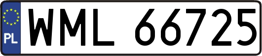 WML66725