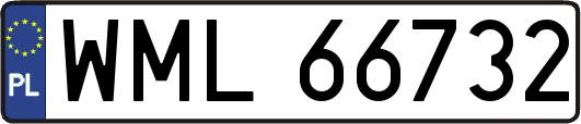 WML66732