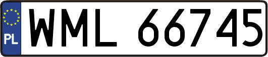 WML66745