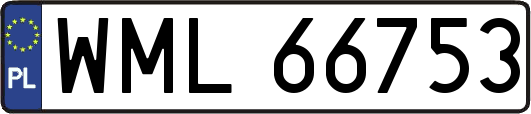 WML66753