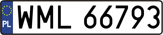 WML66793