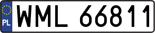 WML66811