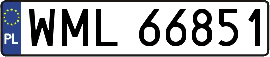 WML66851
