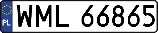 WML66865