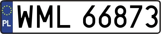 WML66873