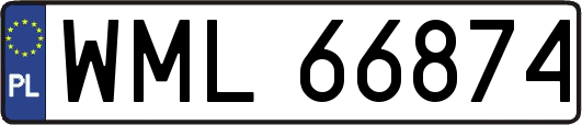 WML66874