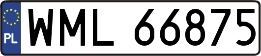 WML66875