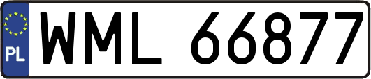 WML66877