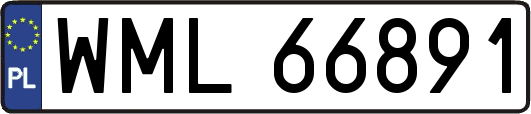 WML66891